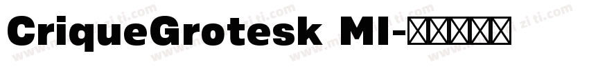 CriqueGrotesk MI字体转换
